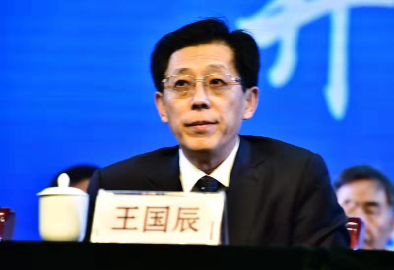 中华中医药学会副主席兼秘书长王国辰作重要讲话