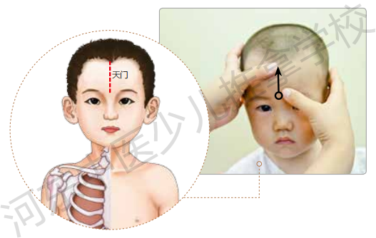 轻柔肺腧，治感冒不发愁