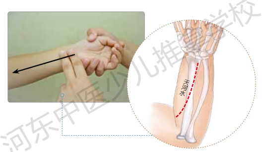 轻柔肺腧，治感冒不发愁