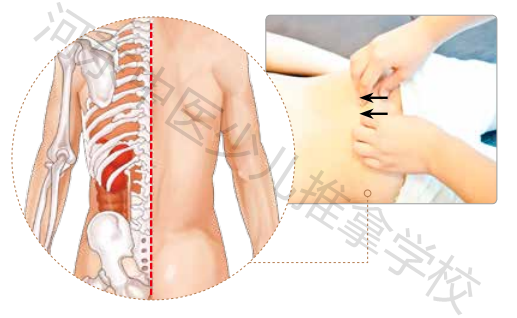 孩子积食不消化，补脾摩腹轻松除