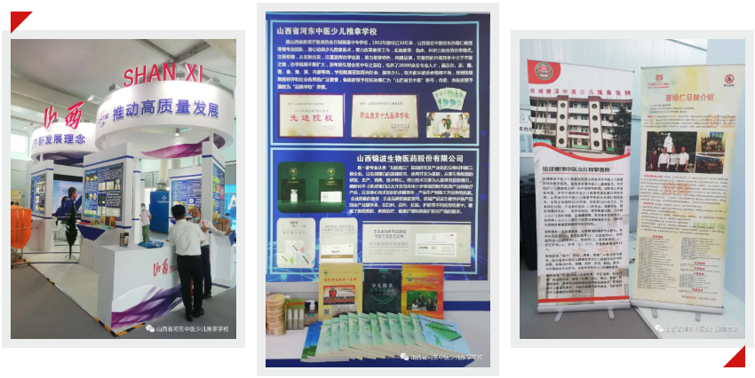 我校办学成果亮相中国国际服务贸易交易会